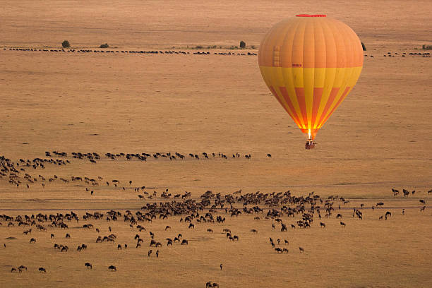 A hot air balloon flying over wildlife herds during a 5-day Serengeti sunrise balloon safari