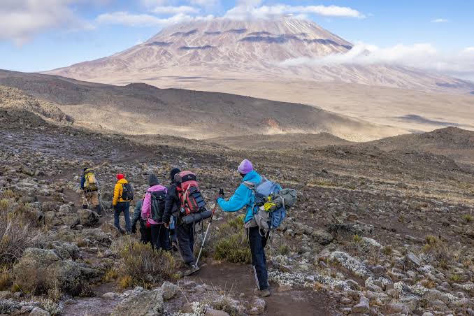 7-Days Kilimanjaro Umbwe Route Trek mountain climbing experience