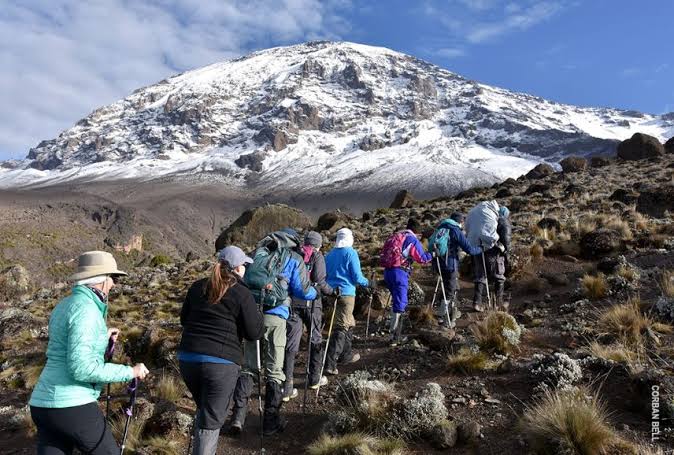 Trekkers ascending a steep ridge on the 7 Days Umbwe Route Kilimanjaro climb