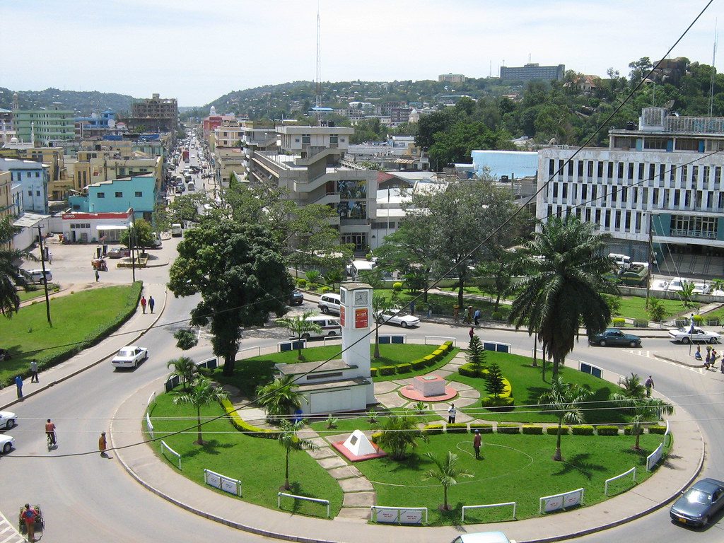 1-Day Serengeti National Park Private Safari from Mwanza or Arusha