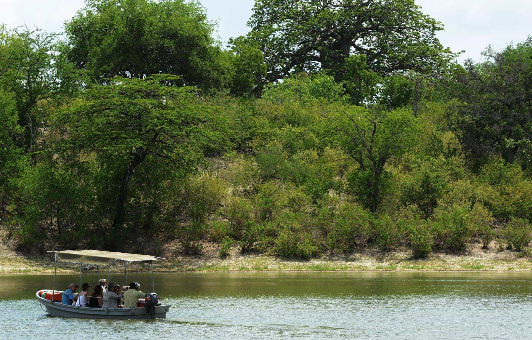 Rufiji River boat safari tour