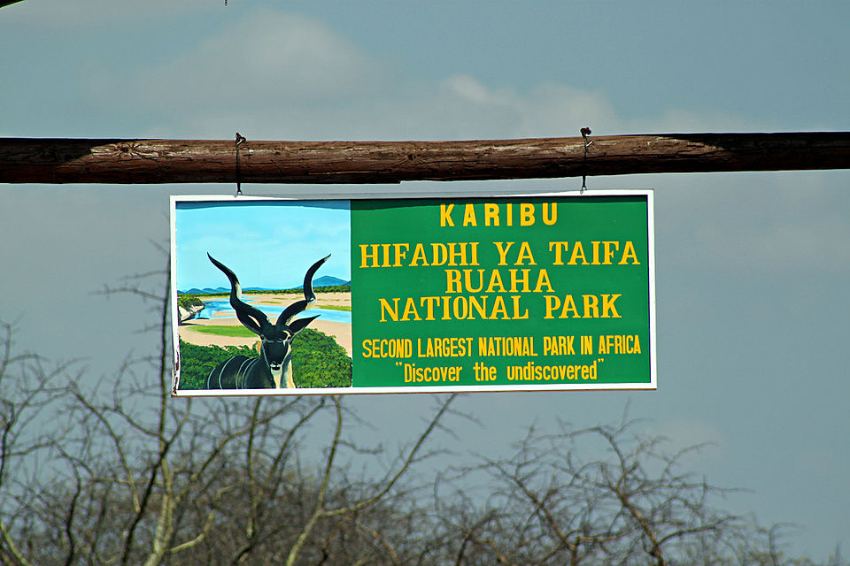 Ruaha National Park
