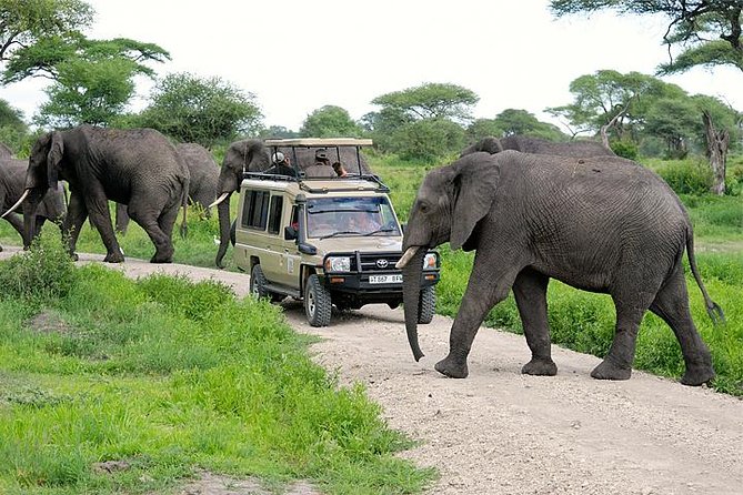 4x4 safari departure to Tarangire from Arusha