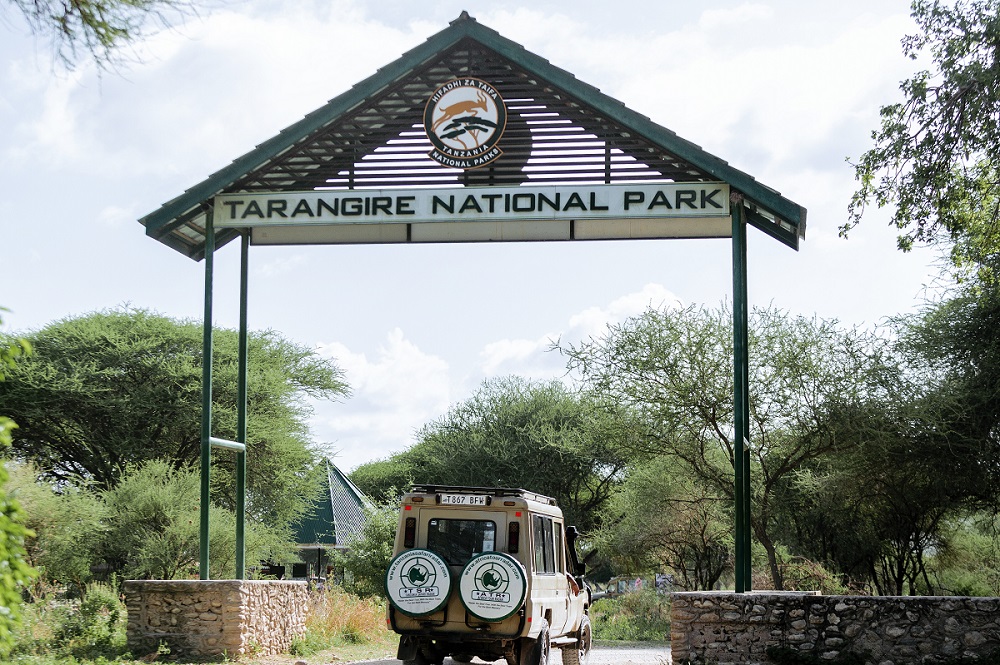 tarangire gate