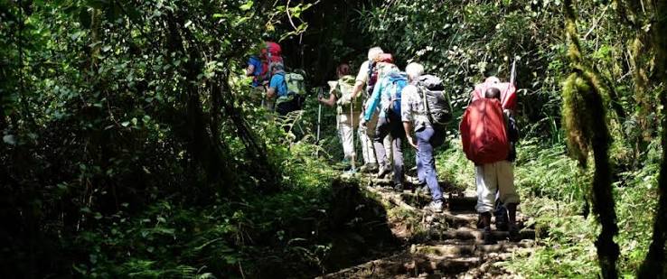 Umbwe Route Most Challenging Route on Mount Kilimanjaro