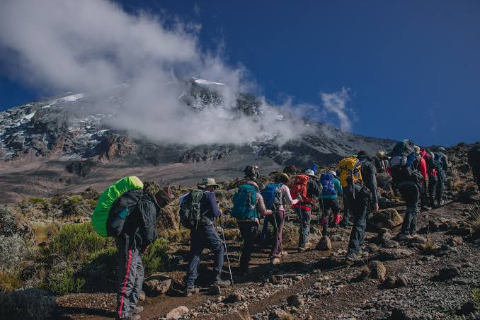 Umbwe Route Prime Kili trekking expedition on Mount Kilimanjaro