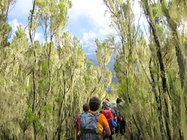Scenic views along the Mount Kilimanjaro Umbwe Route
