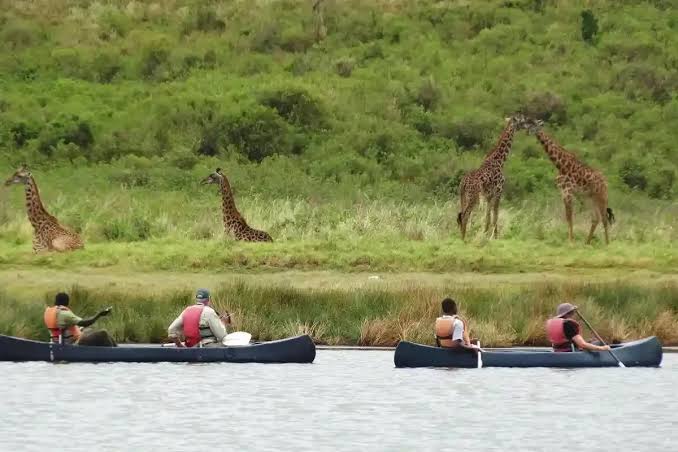 AFCON 2027 Fans Exploring Lake Manyara National Park