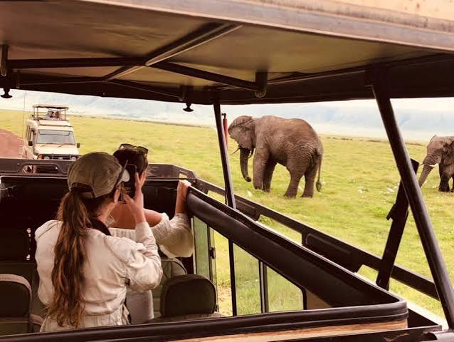 AFCON 2027 Tanzania Excursion - Ngorongoro Crater Safari