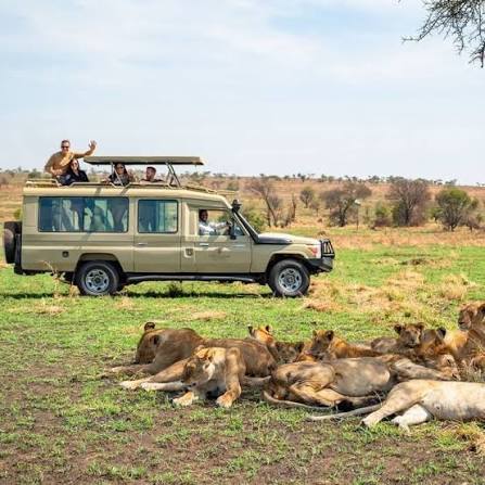 AFCON 2027 Fans Spotting Wildlife in Tarangire National Park