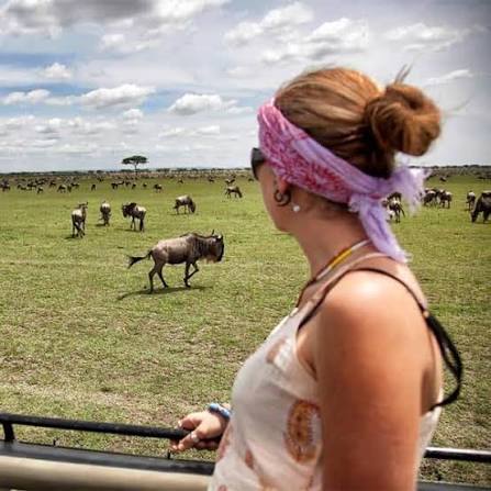 Full Day Central Serengeti Big Five Tracking Safari Tour