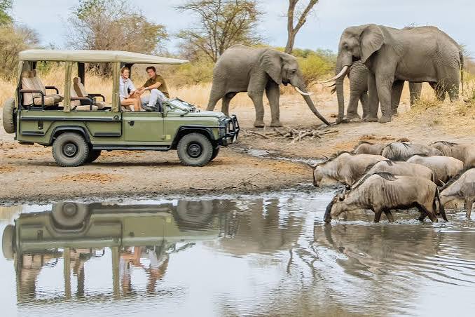Day Visit In Lake Manyara National Park Safari