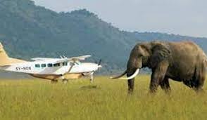 Fly-in fly-out luxury safari experience in the Serengeti