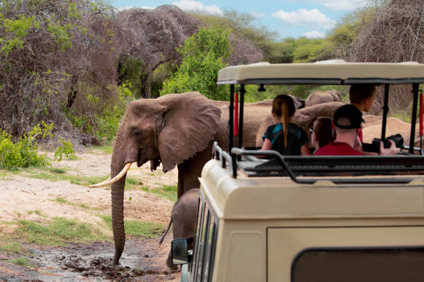 Game drive through Tarangire National Park showing elephants and baobab trees on a 2-day group joining safari