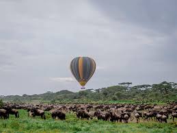 4 Days Tanzania Private Safari Tour for 2026/2027