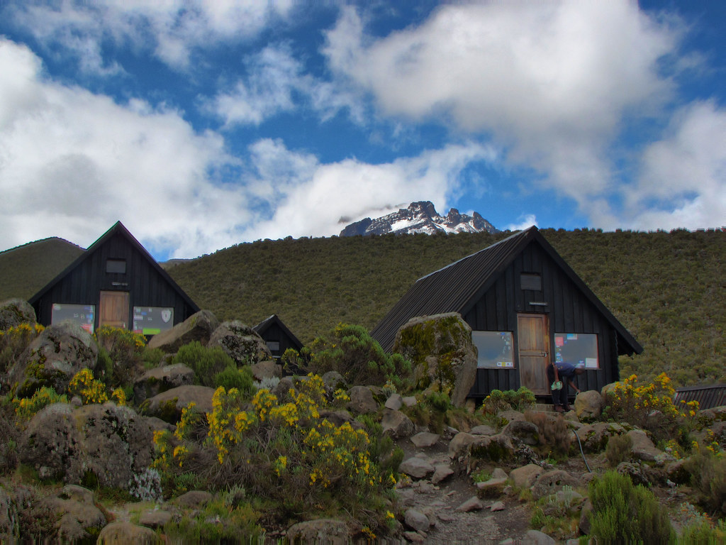 Mandara to Horombo Hut Moorland
