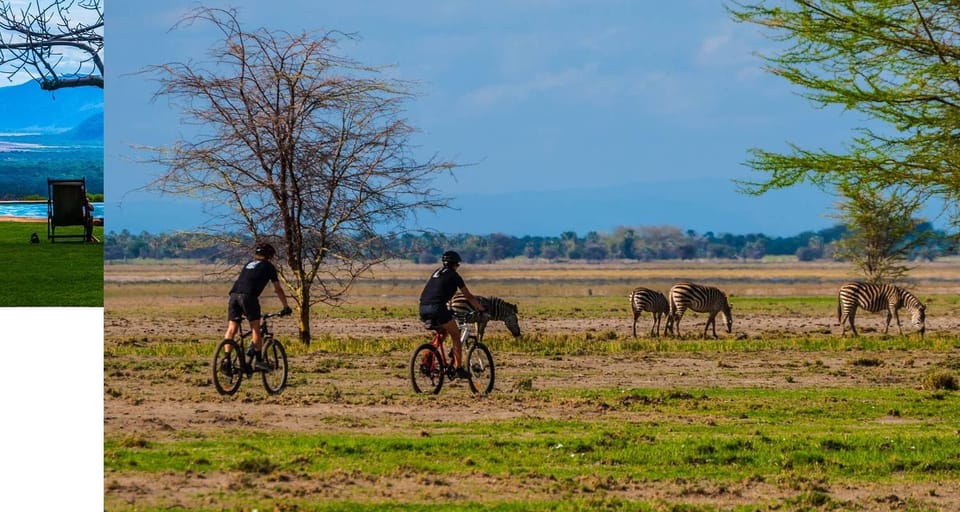 2-Day Tarangire and Lake Manyara Safari
