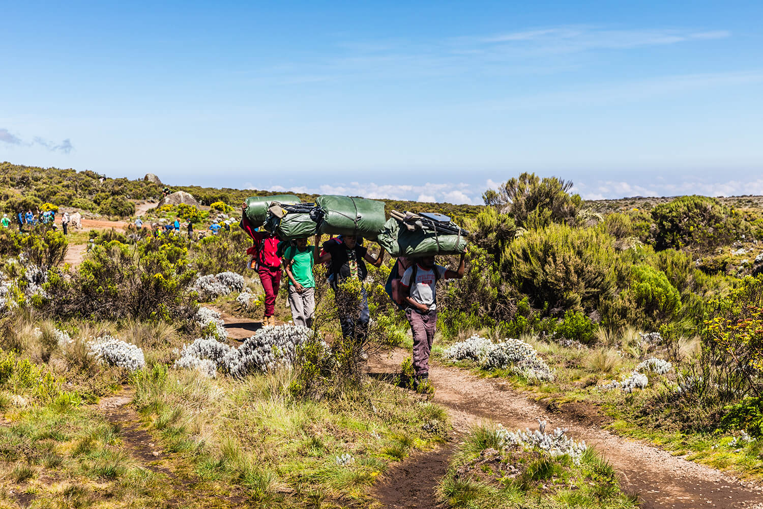 Kilimanjaro Lemosho Route Rainforest Trekking