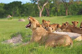 Tarangire National Park
