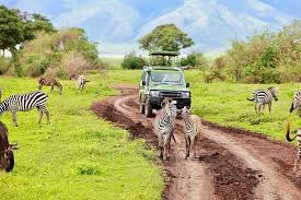 Lake Manyara National Park during 2-day for 2026-2027