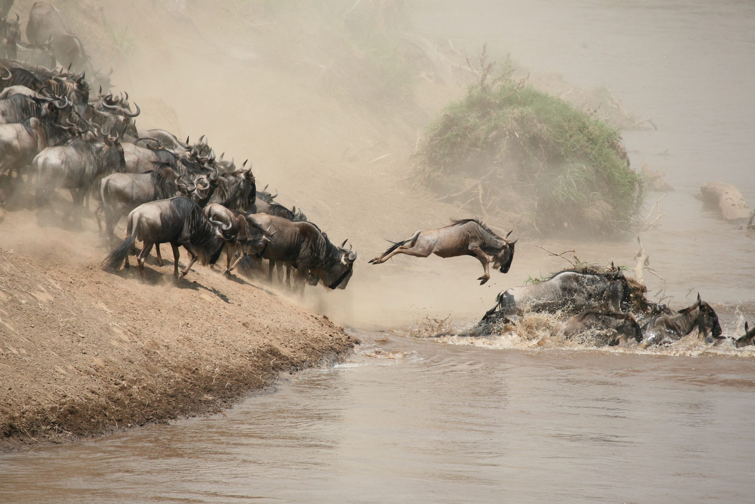 6 Days Mara River Great Migration Safari Tour