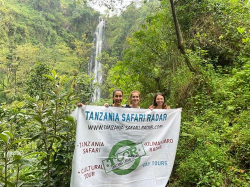 Day trips materuni safari tour from Moshi