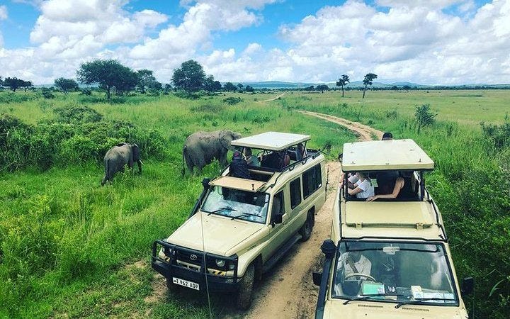 2-Days Mikumi Safari Tour from Zanzibar