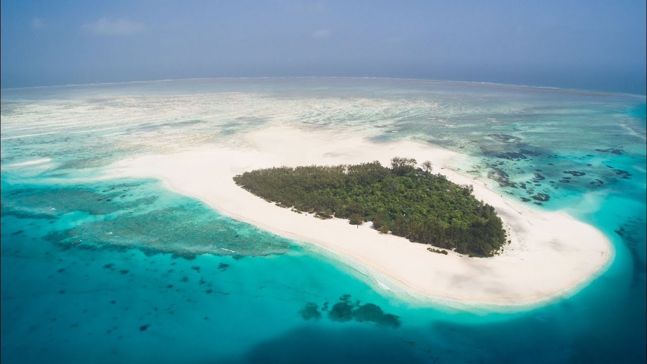 Snorkeling and dolphin safaris at Mnemba Atoll marine park