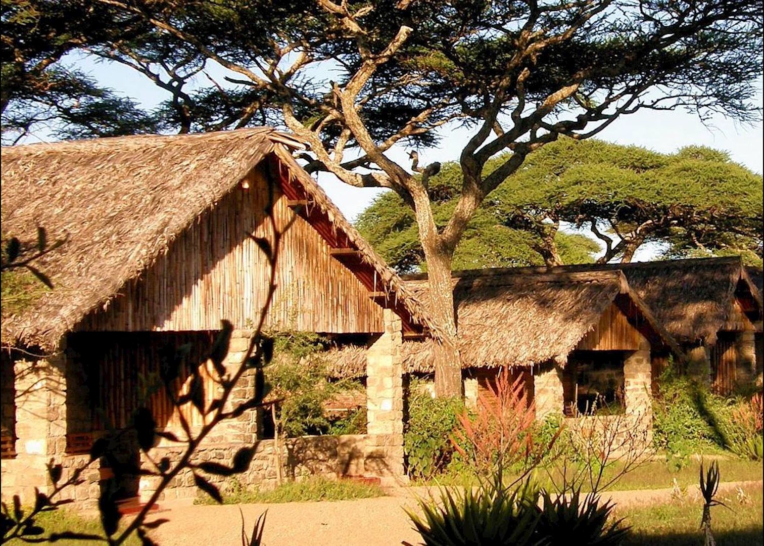 5 Days Ndutu Great Migration Safari Tour