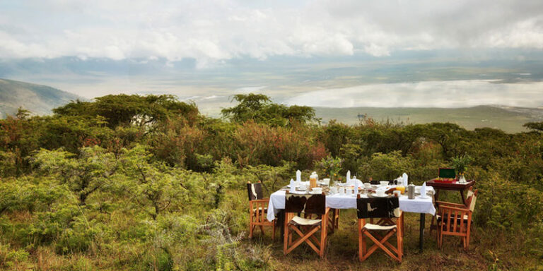 A premium white-tablecloth hot gourmet bush lunch served during a luxury safari on the Ngorongoro Crater floor