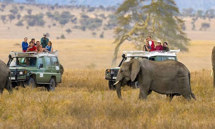 Ngorongoro Crater Floor Game Drive