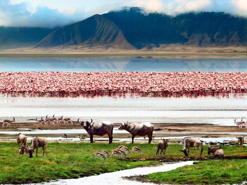 Safari vehicle ascending the rim of Ngorongoro Crater with flamingo-filled Lake Magadi in background
