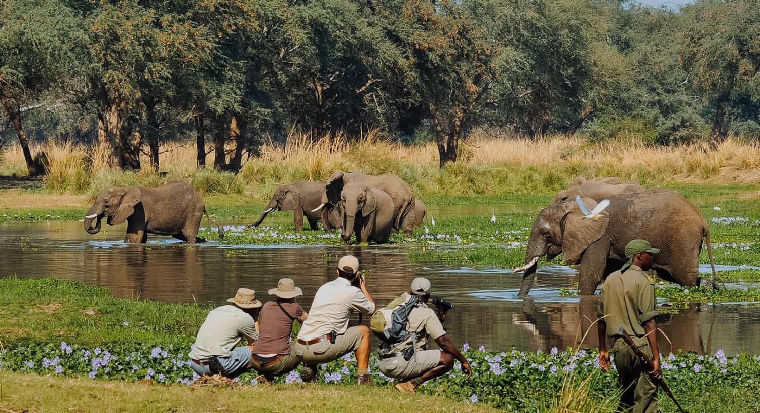 Nyerere national park photography safari tour