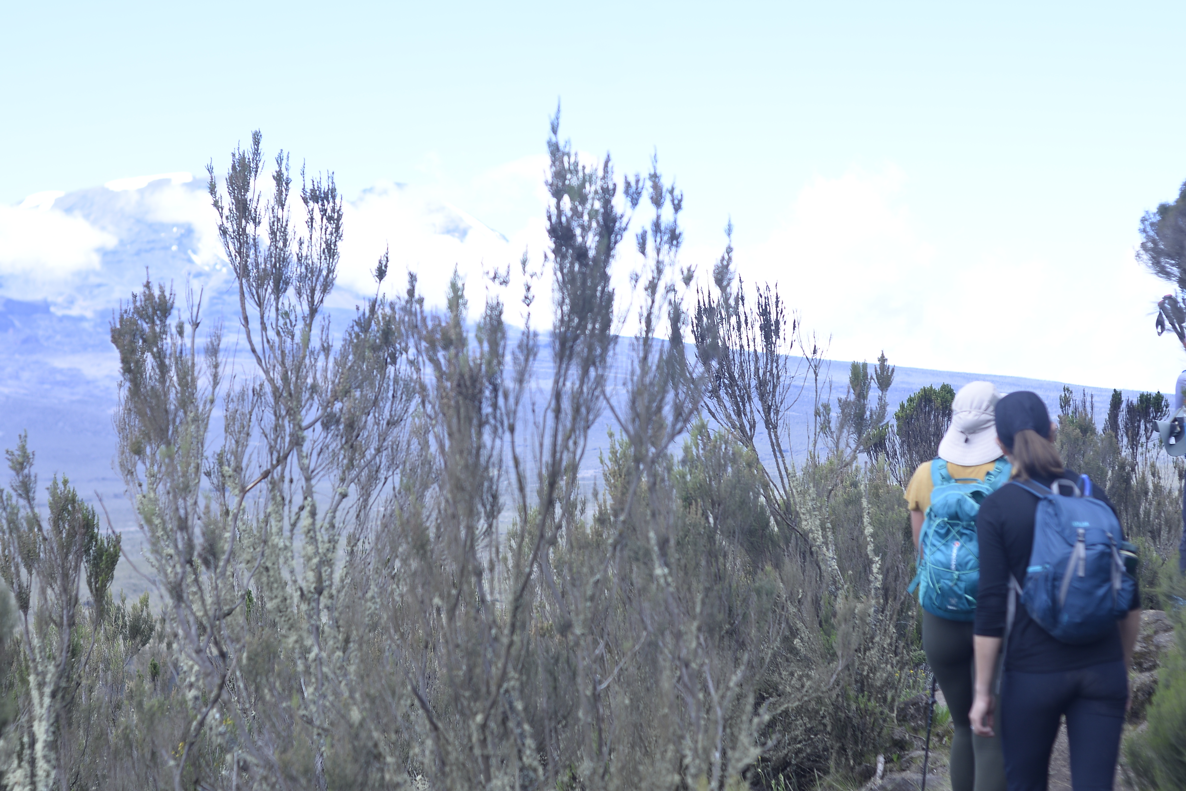 Acclimatization - climbing Kilimanjaro tour