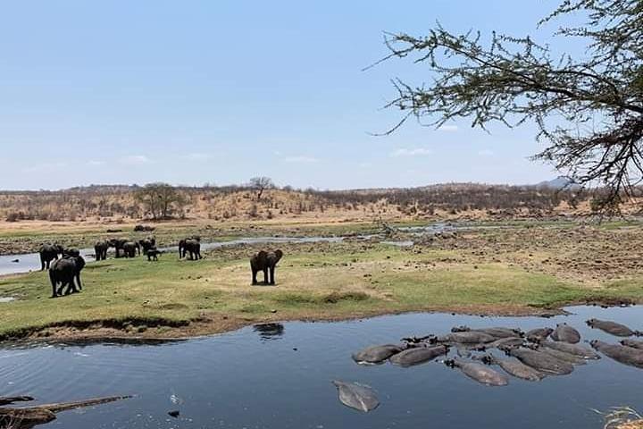 3-Day Ruaha fly-in safari