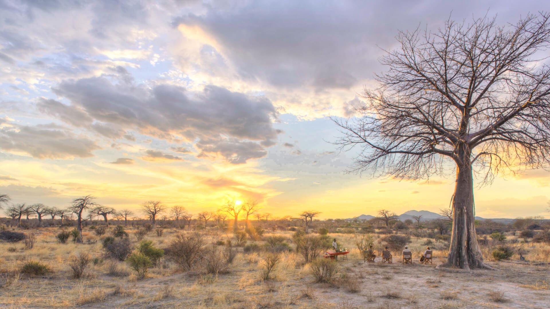 Ruaha National Park dry season safari experience