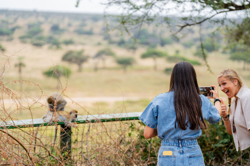 Family safari tour in Ruaha National Park