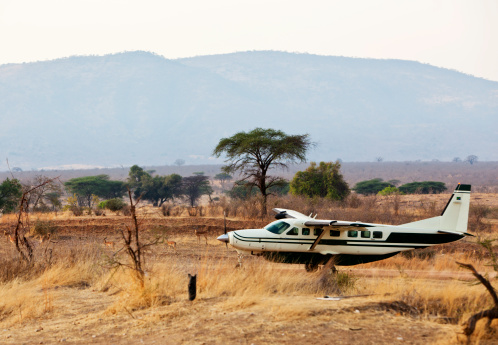 Fly-in Ruaha National Park safari arrival