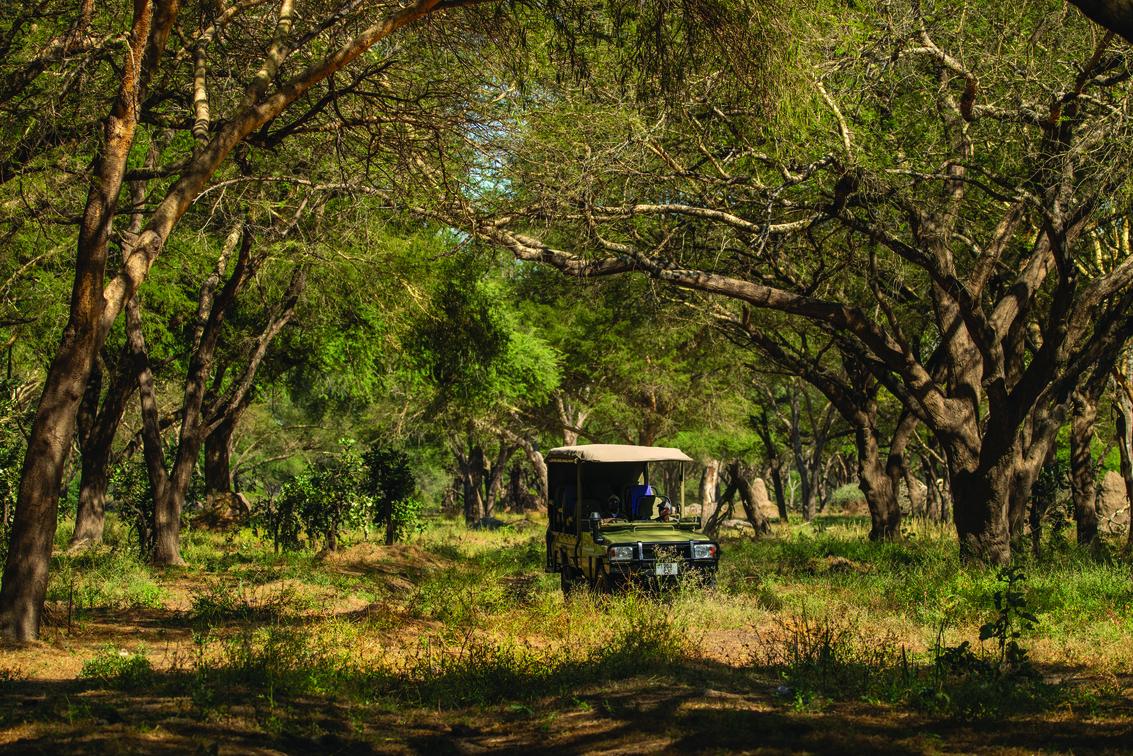 Ruaha National Park 4x4 safari vehicle outing