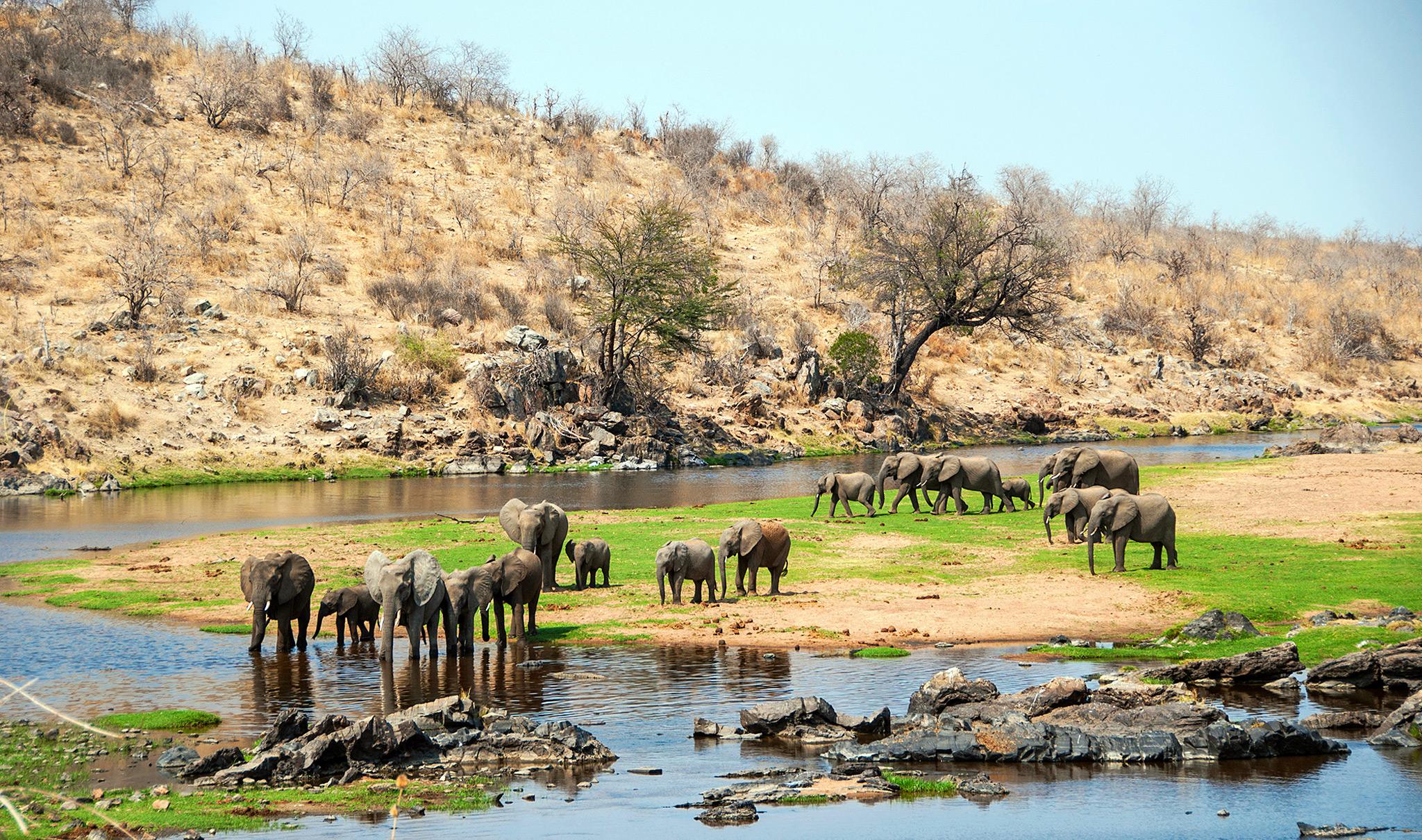 Ruaha Safari Rates and Expense Breakdown