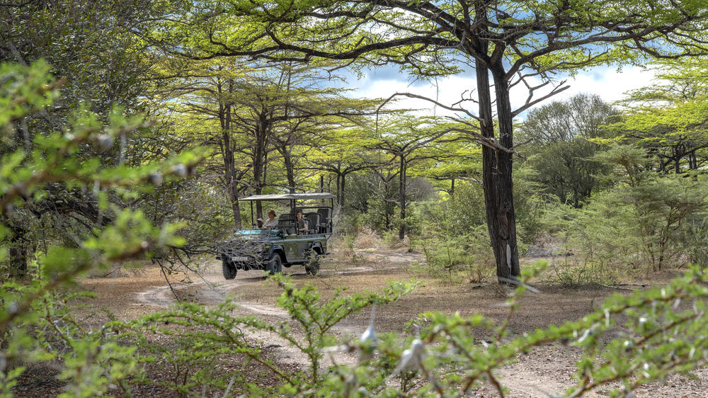 Shared group safari tour in Ruaha