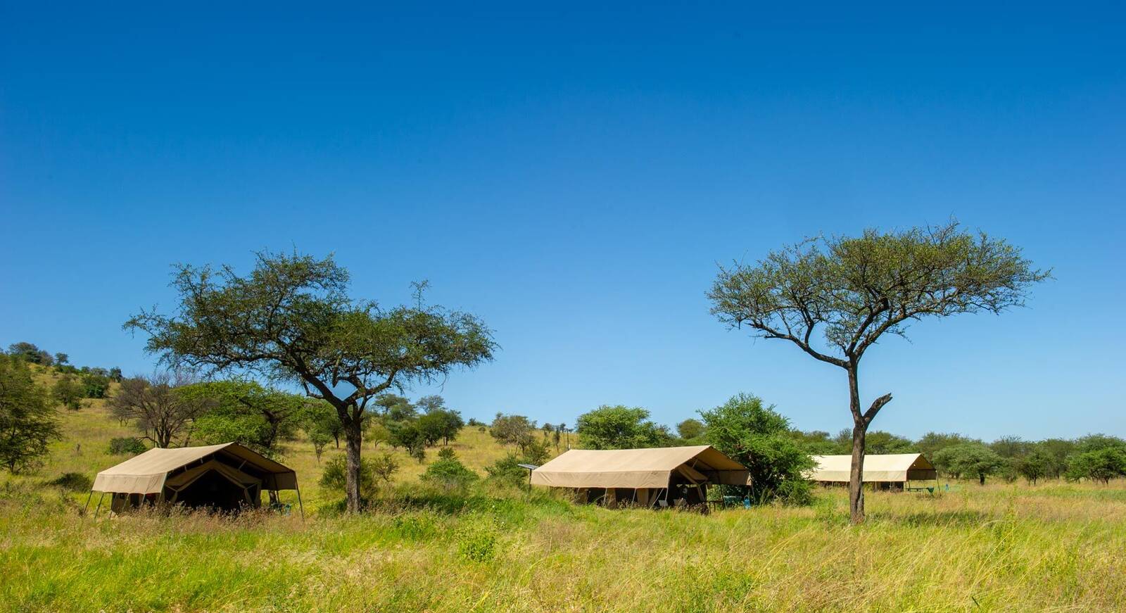 Tanzania Group Joining Safaris from Mto wa Mbu