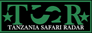 tanzania safari