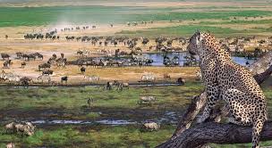 Safari vehicle departing Serengeti National Park back to Arusha