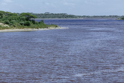 6 Days Fly-In Drive-Out Mara River Migration Safari