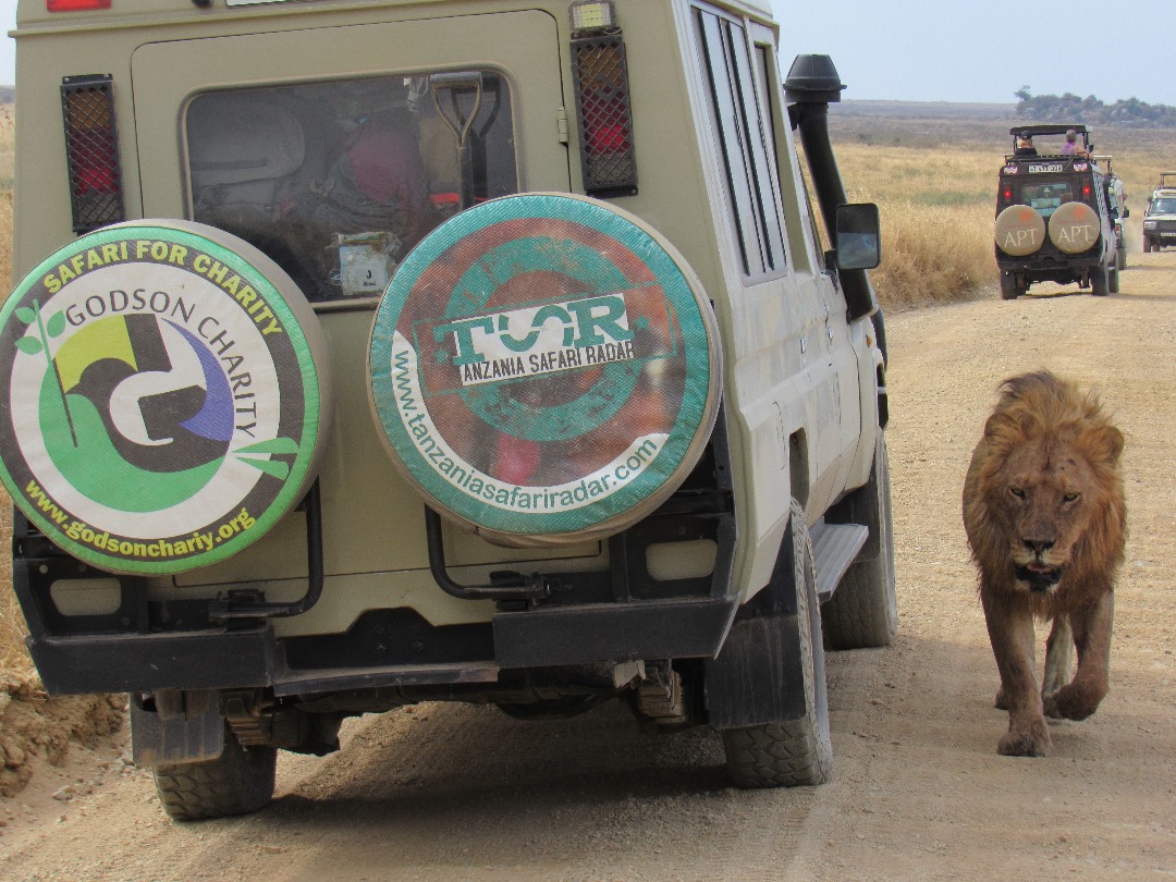 4 days Tanzania group Join safari tour 2026-2027