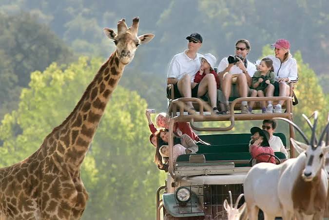 Family enjoying a guided wildlife safari tour and game drive across the scenic landscapes of Tanzania