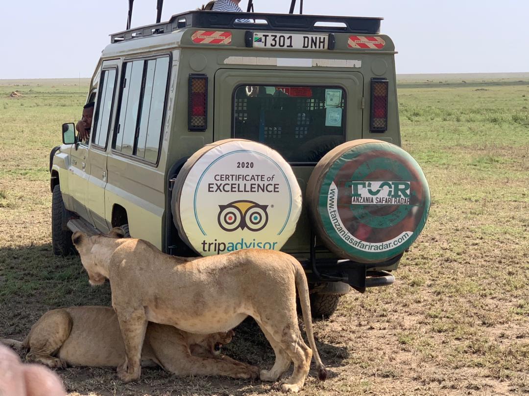 tanzania group joining safari