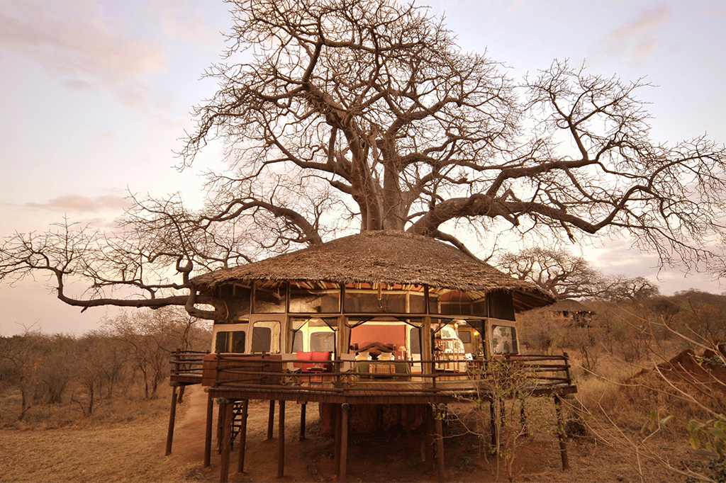Comfortable mid-range tented camp in Tarangire