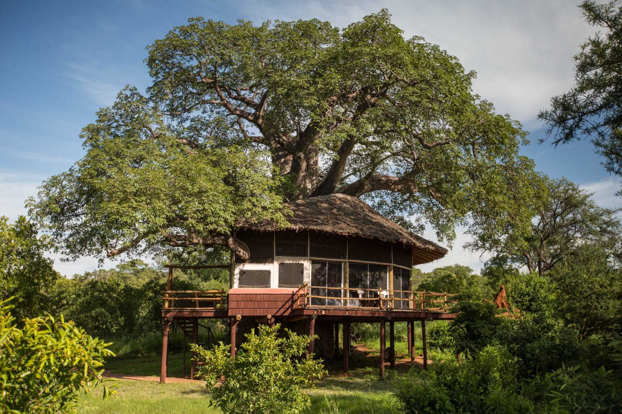 Premium luxury safari lodge in Tarangire National Park